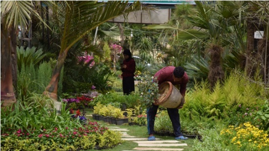 El-Orman Botanical Gardens
