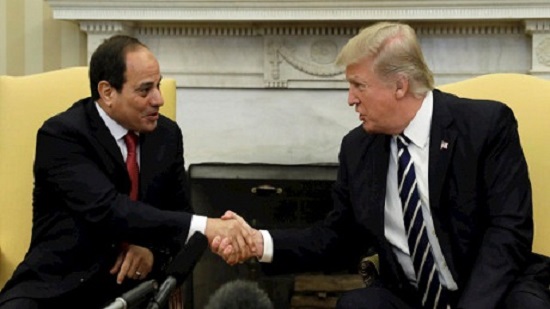 Sisi, Trump vow to fight terrorism together
