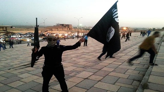 Islamic State seeking alliance with al Qaeda, Iraqi vice president says