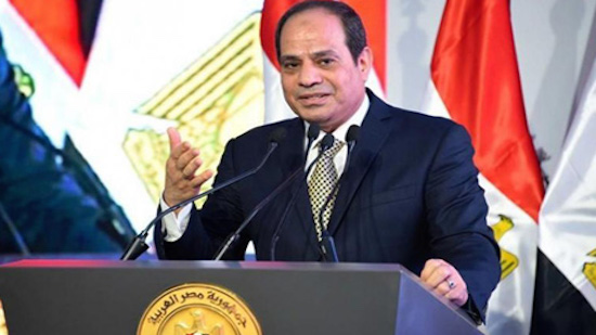 Egyptian state is 'in a race' to provide essential goods at affordable prices: Sisi