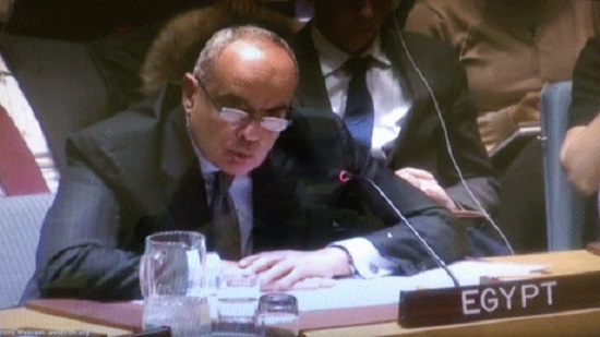 Egypt’s UN delegation blames Qatar, other unnamed country in the region for terrorism in Libya