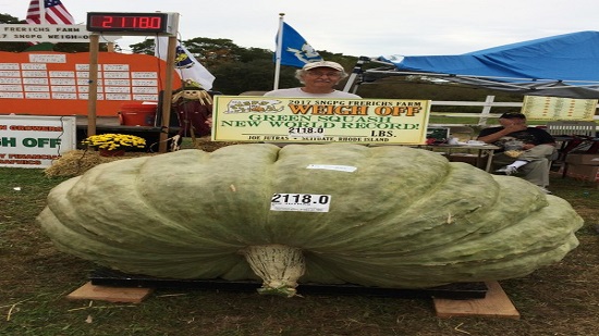 Great pumpkins! Grower wins trifecta of giant food titles