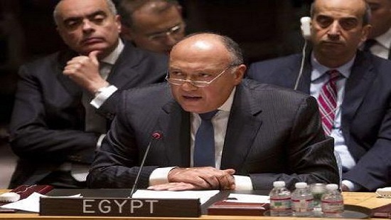 Assessing Egypts foreign policy