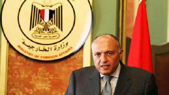 Latest tripartite GERD meeting did not produce significant results: Egypt FM