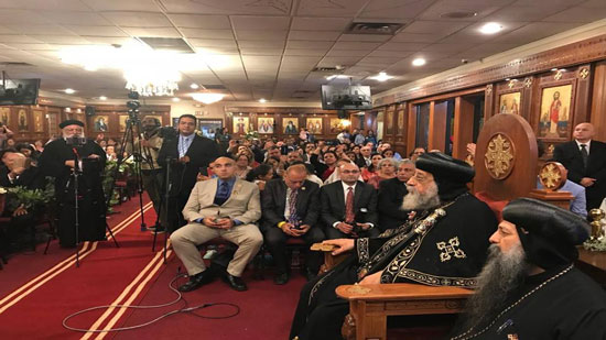Pope Tawadros: my job is to visit my sons and I don t understand politics