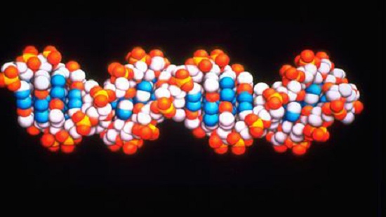 More than 100 scientists in China say baby gene editing is crazy