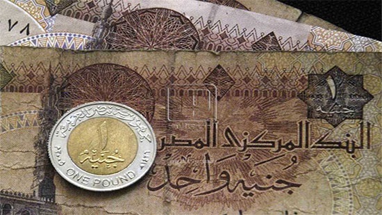 Bloomberg: Egyptian Pound came in second place as best currency in 2019