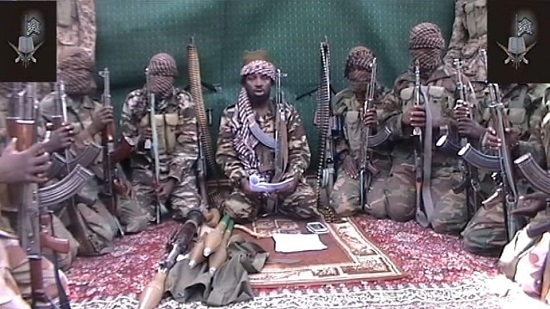 Boko Haram slaughters eight farmers northeast of Nigeria