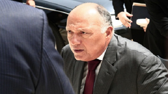 Egypts FM Shoukry reiterates Egypts support of Sudan in first meeting with PM Hamdok, FM Abdalla