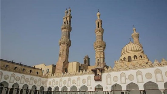 Al-Azhar Observatory: We Face thousands of extremist ideas each year
