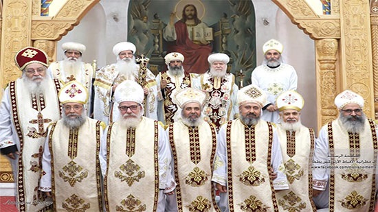 Bishop of Tima ordains 7 new priests 