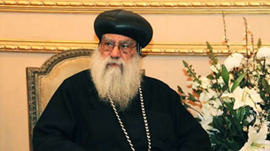 Former acting Patriarch delivers online meeting about Resurrection Force 