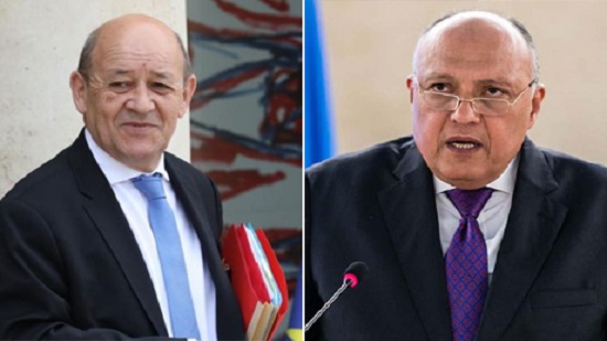 Egypt, France FMs welcome Libyan ceasefire, discuss Mideast developments
