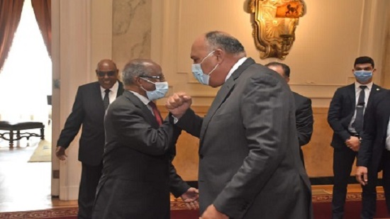 Cairo supports efforts aimed at stability in Horn of Africa, Egypts FM tells Eritrean delegation