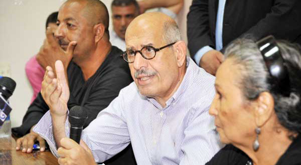 ElBaradei vows a revolution for farmers in union meeting	