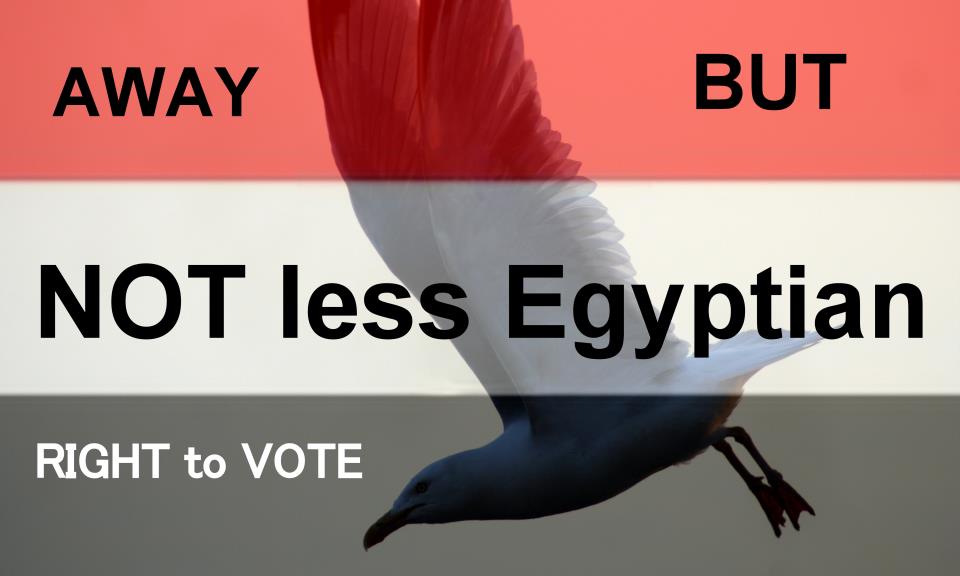 Egyptians abroad begin online voter registration
