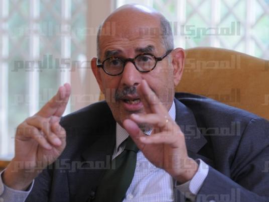 ElBaradei condemns fatwa approving murder of NSF members