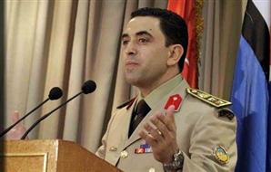 Egypt's army arrests 309 militants in Sinai - spokesman
